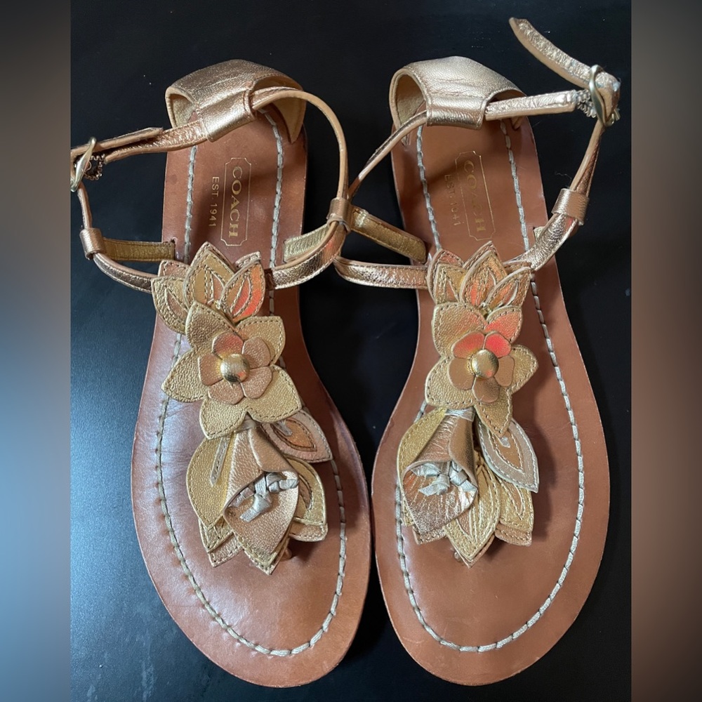 Coach Sierra Floral Design Sandals🌼